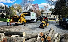 Best Lot and Land Clearing  in University Of Lifornia Davis, CA
