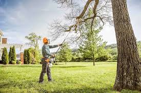 Best Pest Control for Lawns  in University Of Lifornia Davis, CA