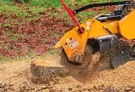 Best Tree Disease Treatment  in University Of Lifornia Davis, CA