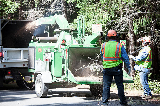 Best Seasonal Cleanup (Spring/Fall)  in University Of Lifornia Davis, CA